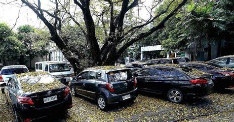 pwd parking|Bill proposes free parking for elderly, PWD in .